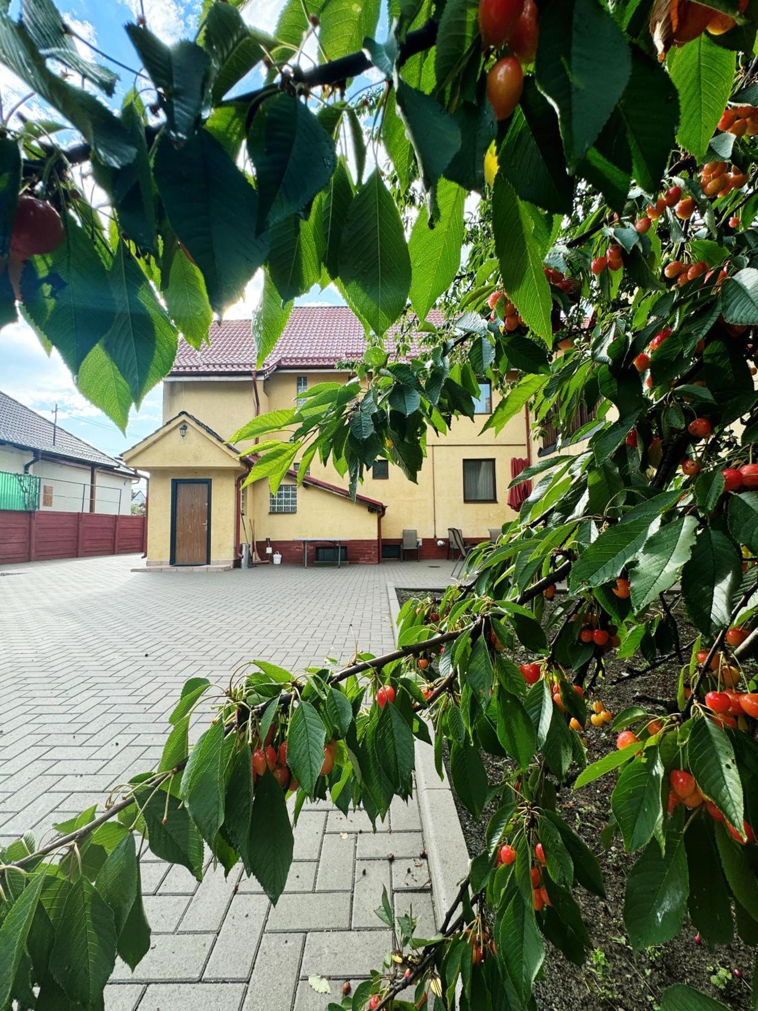Carpathian Newstar Sibiu Exterior foto