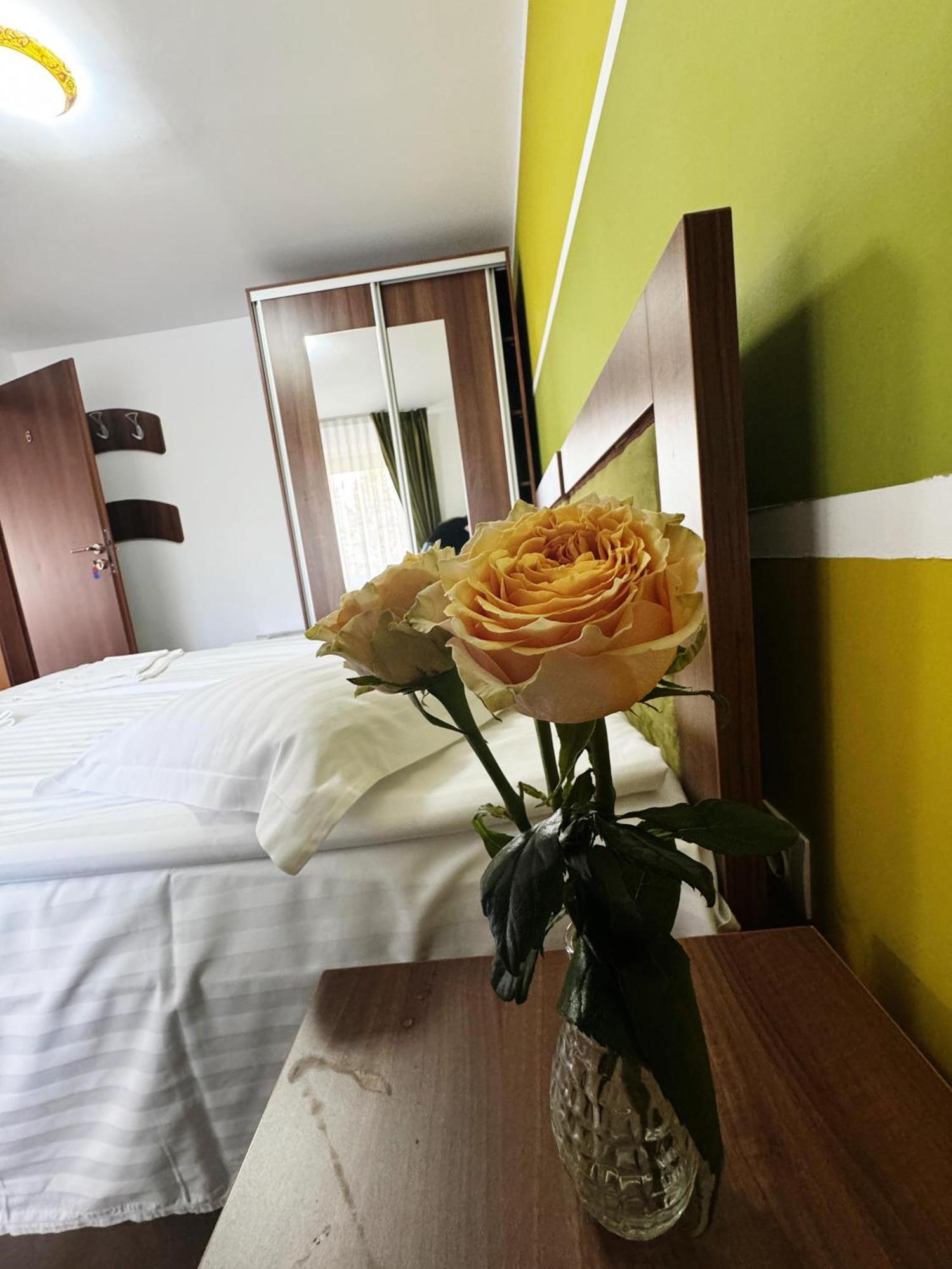 Carpathian Newstar Sibiu Exterior foto